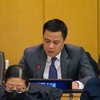Ambassador Dang Hoang Giang speaks at the session (Photo: VNA)