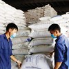 Vietnam's rice export is expected to reach nearly 9 million USD in 2024.