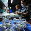 Workers at a Taiwanese company in An Duong industrial part, Hai Phong city. (Photo: VNA)