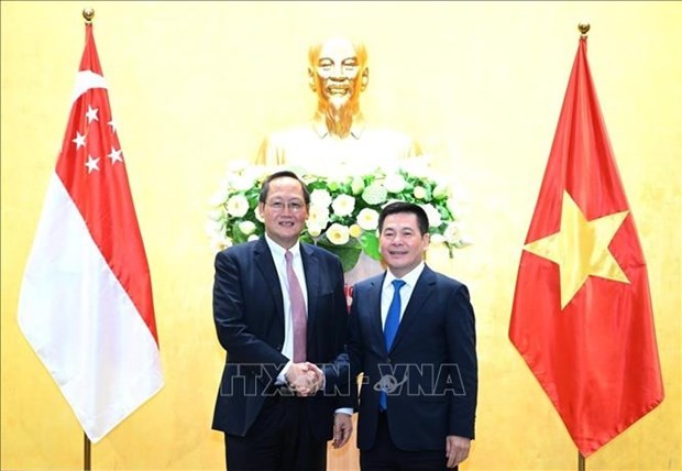 Vietnam, Singapore Deepen Economic, Energy Cooperation | Nhan Dan Online