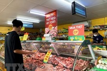 In January, Vietnam imports 35,440 tonnes of meat and meat products worth 74.13 million USD. (Photo: VNA)