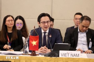 Deputy Minister of Foreign Affairs Do Hung Viet (Photo: VNA)