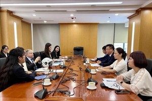 During the working session (Photo: VNA)