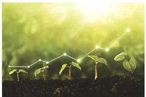 Green transformation is a mandatory requirement for enterprises.