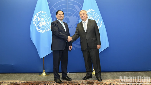 Prime Minister Pham Minh Chinh meets with Secretary-General of the United Nations (UN) Antonio Guterres. 