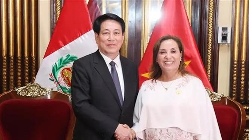 State President Luong Cuong (L) and President Dina Ercilia Boluarte Zegarr. (Photo: VNA)