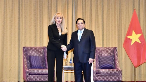 Prime Minister Pham Minh Chinh (R) shakes hands with Malgorzata Adamkiewicz, President of the Supervisory Board of Adamed Pharma. (Photo: THANH GIANG/NDO)