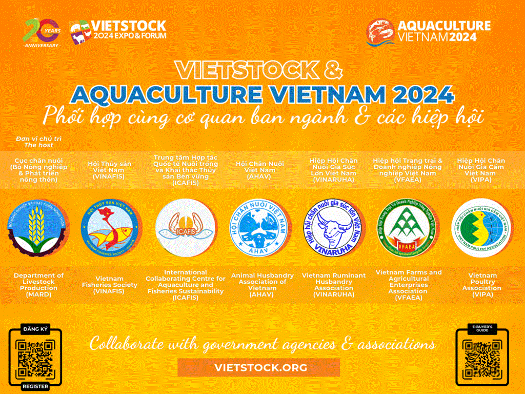 Vietstock 2024 provides an ideal venue for businesses to update the latest trends in the livestock industry. (Photo: VNA)