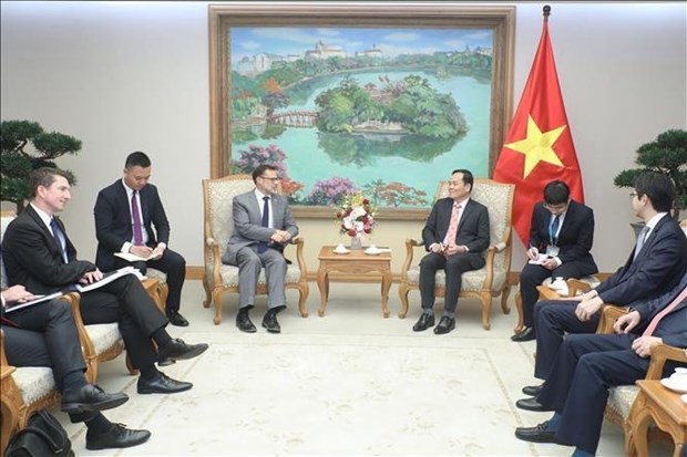 Deputy PM asks for well organisation of celebrations for Vietnam-Australia diplomatic ties ảnh 1