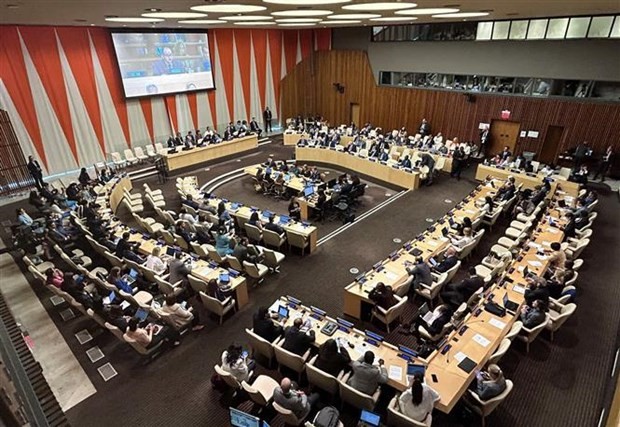 An overview of the Intergovernmental Conference on Marine Biodiversity of Areas beyond National Jurisdiction (Photo: VNA)