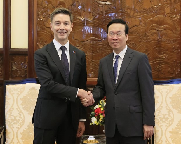 President receives newly accredited foreign ambassadors ảnh 1