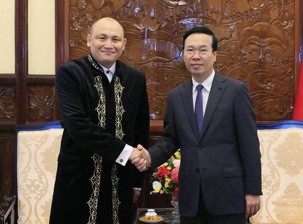 President receives newly accredited foreign ambassadors ảnh 3