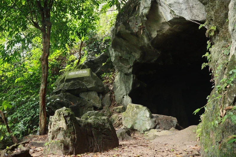 Coming to the Ancient People Cave, visitors can explore and learn about prehistoric human life about 7,500 years ago. (Photo: Cuc Phuong National Park)