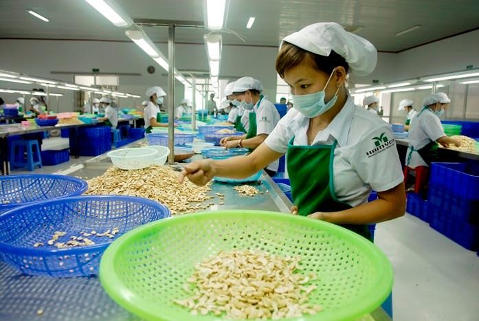 The EVFTA has been enlarging trade and investment ties between Vietnam and the EU
