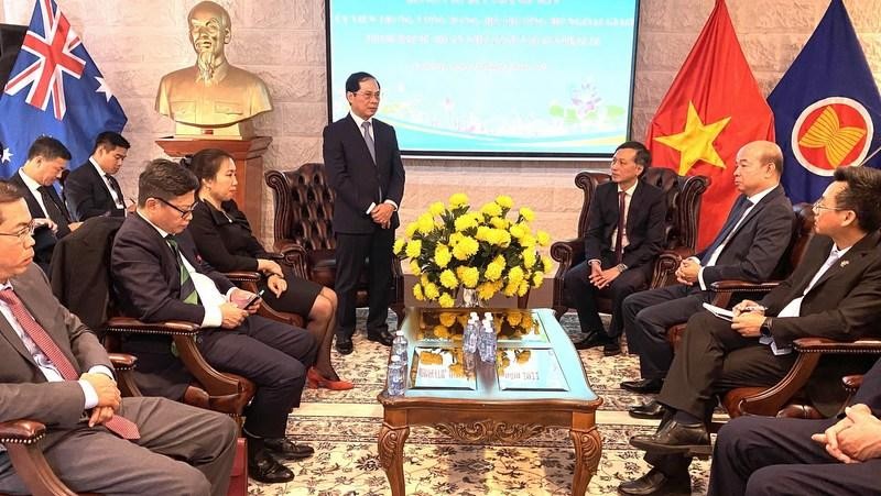 Vietnamese Minister of Foreign Affairs Bui Thanh Son speaks at the ceremony. (Photo: VNA)