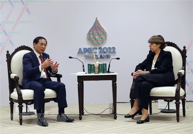 Minister of Foreign Affairs Bui Thanh Son meets with French Minister for Europe and Foreign Affairs Catherine Colonna. (Photo: VNA)