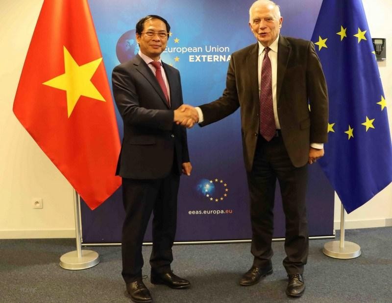 Vietnamese Minister of Foreign Affairs Bui Thanh Son (L) and Josep Borrell, High Representative of the EU for Foreign Affairs and Security Policy, and Vice-President of the European Commission. (Photo: VNA)