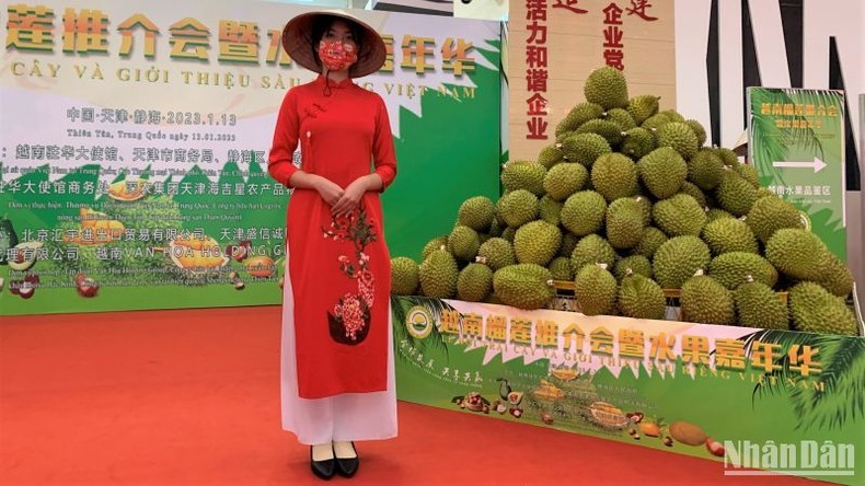 Vietnamese durians are introduced at the festival. (Photo: NDO)