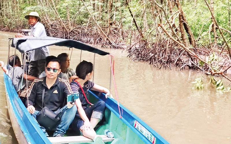 Tourists visit the mangrove forest in Ca Mau. (Photo: Lan Anh)