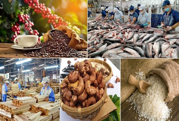 Agro-forestry-fishery exports reach 3.7 bln USD in January (Photo: VNA) 