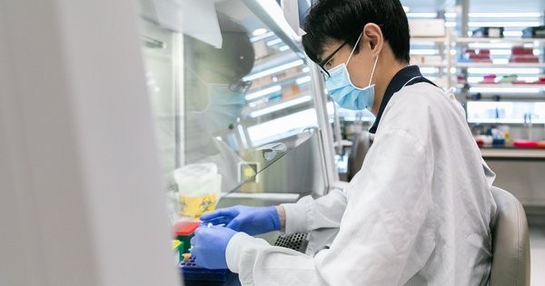 Vietnam confirms 11 new COVID-19 cases in February 6. (Illustrative image)