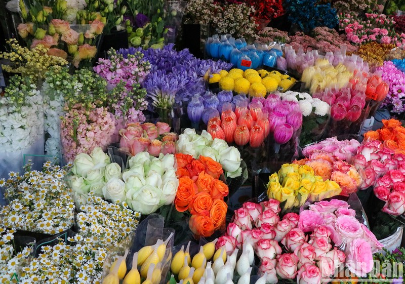 Hanoi’s Quang An flower market full of colours for Women’s Day
