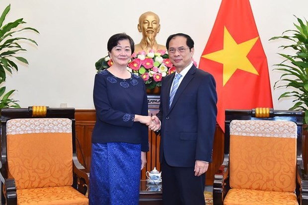 Minister of Foreign Affairs Bui Thanh Son (R) and Cambodian Ambassador to Vietnam Chea Kimtha. (Photo: VNA) 