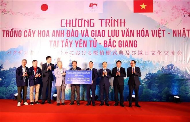 Japan-Vietnam Friendship Association in Chukyo region and Yokoi Mould Vietnam Co., Ltd present 120 sakura trees to Bac Giang (Photo: VNA)