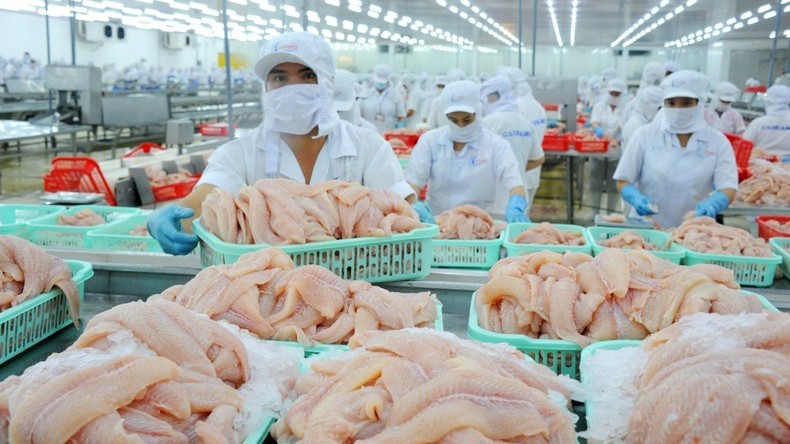 Seafood is a potential export commodity to the Chinese market. (Photo: LE HOANG VU)