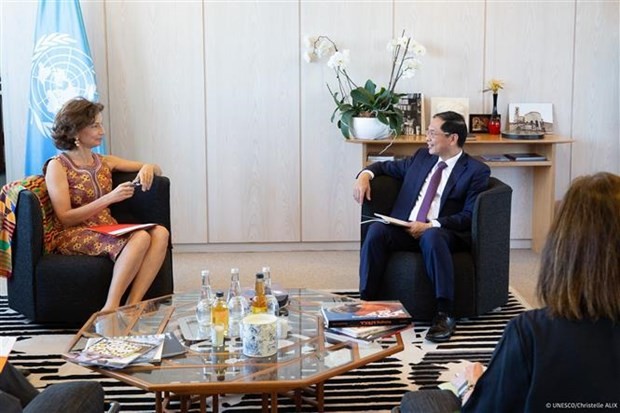 Foreign Minister Bui Thanh Son (R) meets UNESCO Director-General Audrey Azoulay in Paris on June 5 (Photo: VNA)