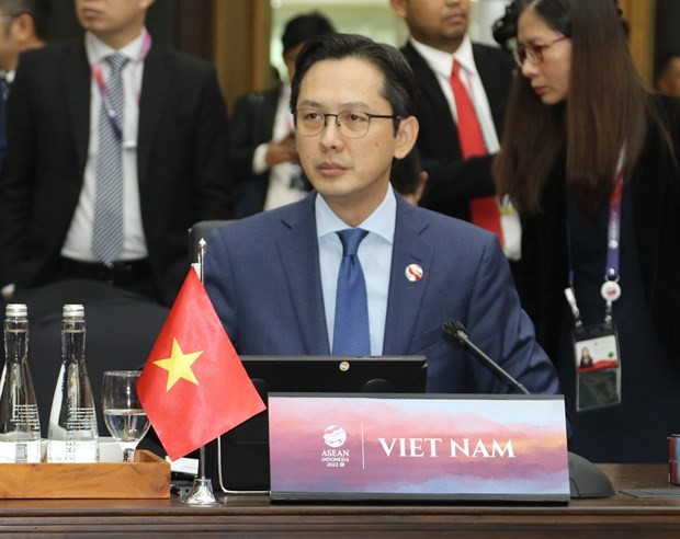 Vietnamese Deputy Minister of Foreign Affairs Do Hung Viet attends the event. (Photo: VNA)