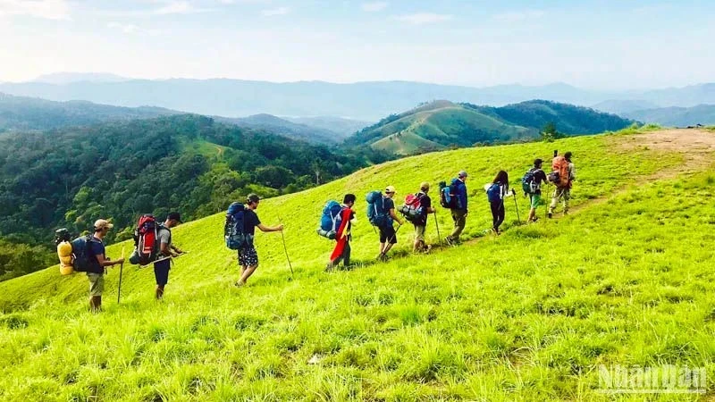 Visitors conquer the Ta Nang – Phan Dung trekking path. (Photo: Van Bao)