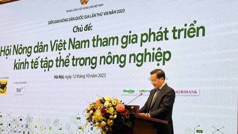 Deputy Prime Minister Le Minh Khai speaks at the forum. (Photo: KIM LINH)