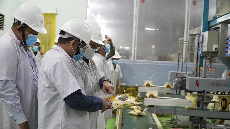 Rice samples are checked for exports at Thoai Son Rice Processing Factory under the Loc Troi Group Joint Stock Company. (Photo: HA AN)