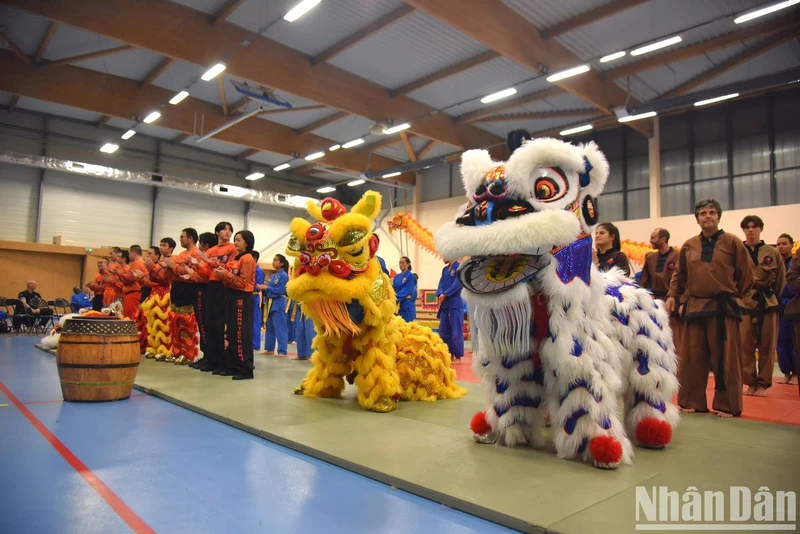 In the minds of Asians, especially Vietnamese people, lion and dragon dances are a type of performance seen during Lunar New Year holidays, festivals, and opening days as mascots that bring good luck and prosperity. 