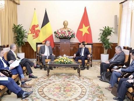 The meeting between Foreign Minister Bui Thanh Son (R) and Minister-President of the Federation Wallonie-Bruxelles Pierre-Yves Jeholet in Hanoi on October 18 (Photo: VNA)