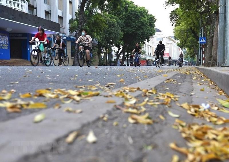 Yellow leaves on Dinh Tien Hoang Street on a late autumn morning. (Photo: Hoang Hieu/VNA)