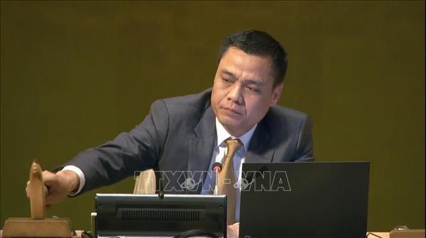 Ambassador Dang Hoang Giang, Permanent Representative of Vietnam to the UN, chairs a UN General Assembly session (Photo: VNA)