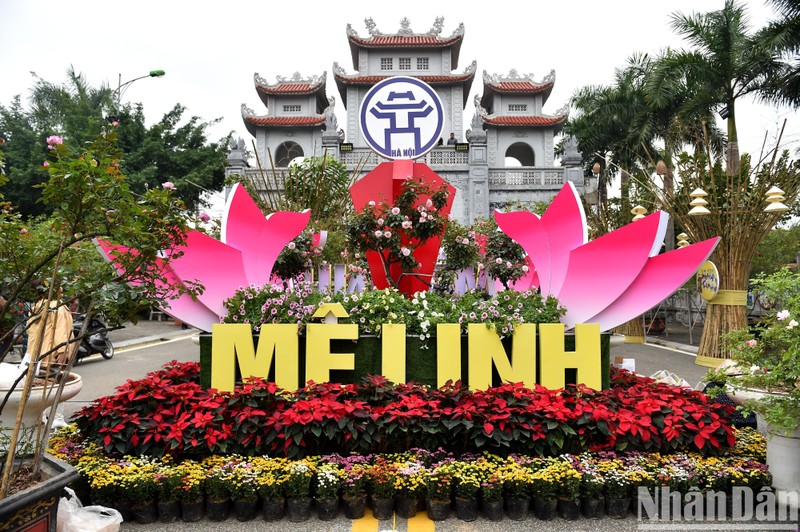 Hanoi: Flower festival opens in Me Linh District 