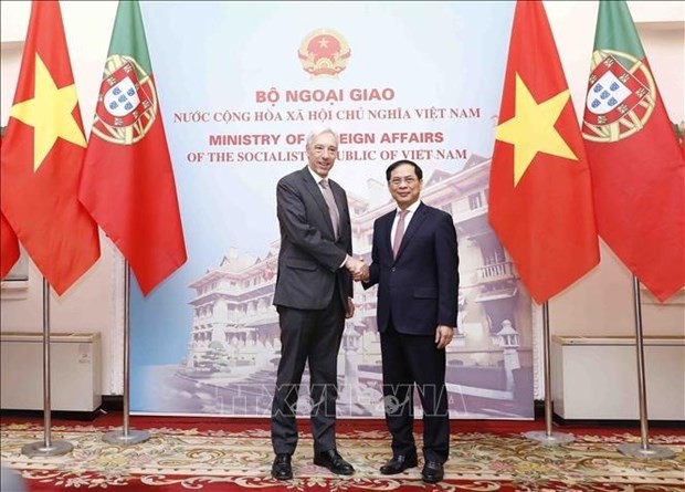 Foreign Minister Bui Thanh Son (R) and his Portuguese counterpart Joao Gomes Cravinho (Photo: VNA)
