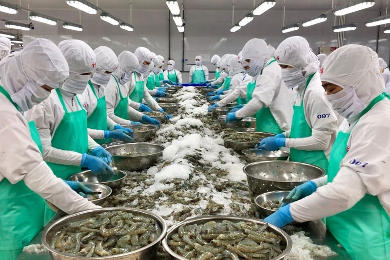 Seafood exports are expected to grow this year.