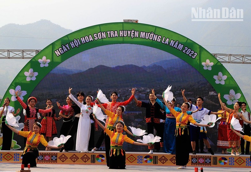 A performance at Son Tra Flower Festival.