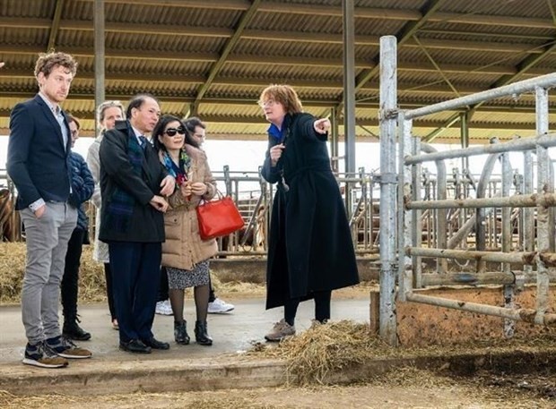 Vietnamese Ambassador to the Netherlands Pham Viet Anh visits a farm in Oss city. (Photo: VNA)