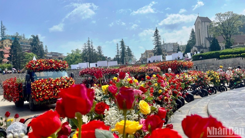 The biggest rose festival in the northwest opens at Sa Pa National Tourist Area. (Photo: Quoc Hong)