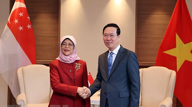 State President meets Singaporean counterpart in UK