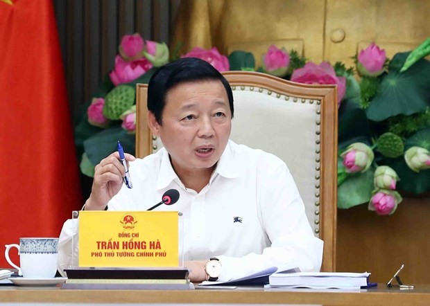 Deputy PM Tran Hong Ha addresses the meeting on June 1. (Photo: VNA)