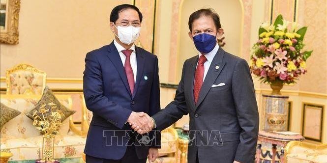 Sultan Haji Hassanal Bolkiah receives Vietnamese Minister of Foreign Affairs Bui Thanh Son (left) on September 7. (Photo: VNA)