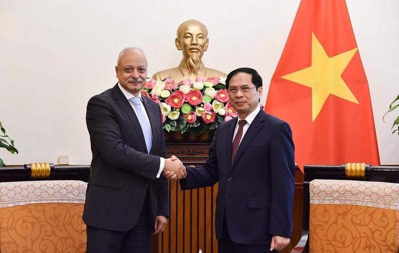 Minister of Foreign Affairs Bui Thanh Son (R) and Egyptian Assistant Minister of Foreign Affairs Ayman Aly Kamel Aly at the meeting in Hanoi on September 9. (Photo: MOFA)