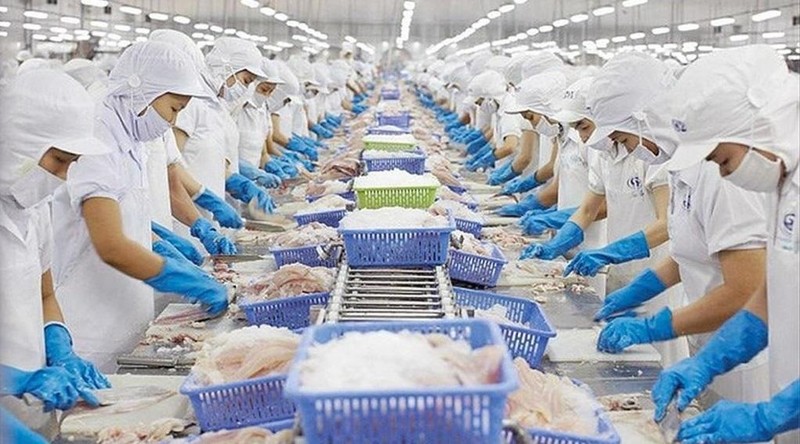 Vietnam named among leading sources of seafood supply for US (Photo: VNA)