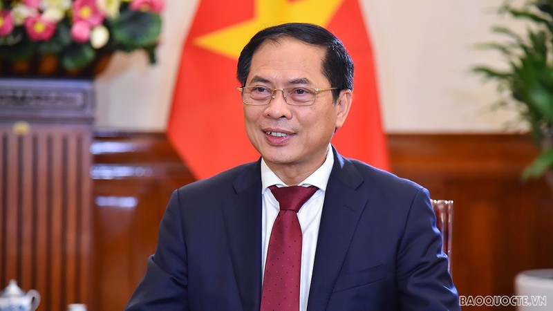 Minister of Foreign Affairs Bui Thanh Son (Photo: baoquocte.vn)